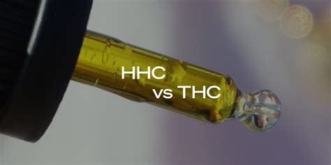 hhc vs thc - chivas vs forge